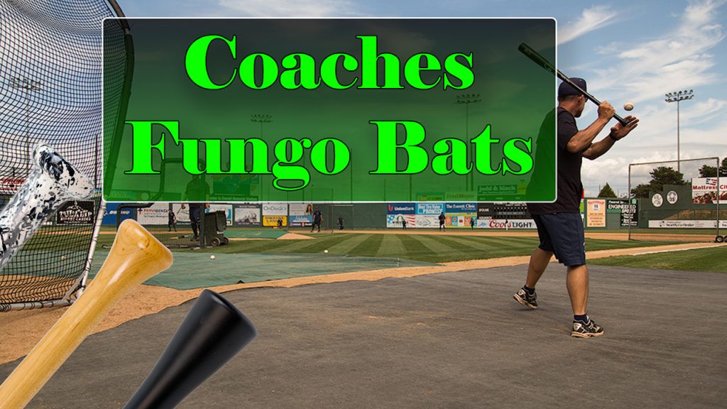 Coaching Little League? Here’s Why You Need a Fungo Bat! Viper Bats Blog