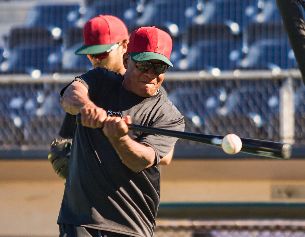 Coaching Little League? Here’s Why You Need a Fungo Bat! Viper Bats Blog